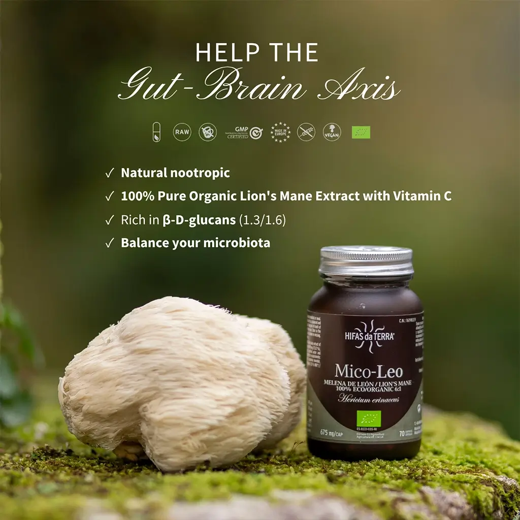 MICO-LEO VIDRIO 70 - Imagen 5